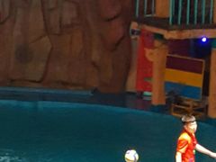 -烟台海昌鲸鲨海洋公园