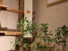 -石舍洒秀咖啡馆
