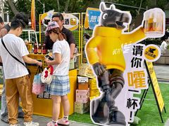 -金茂览秀城