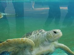 -珠海长隆海洋王国