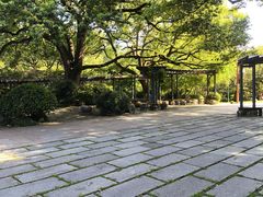 -中国茶叶博物馆(双峰馆区)