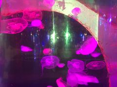 -热带风暴水上乐园(新镇路)