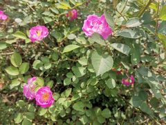 -白塘生态植物园