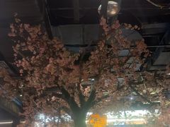 -绿茶餐厅(朝阳大悦城店)
