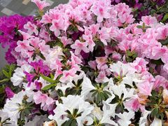 -龙湖重庆时代天街