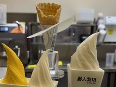 -野人先生现做冰淇淋(北京悠唐购物中心店)