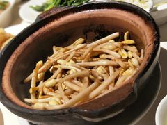 -琥珀·原创臻选店(维家思店)