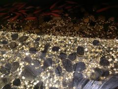 -邈墨茶馆(凤起路店)