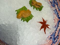 -月龍吟(朝龙汇店)