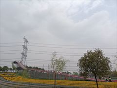 -上海杨姆庄园