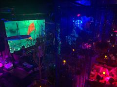 -胡桃里音乐酒馆(石家庄店)