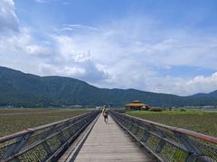 -腾冲北海湿地