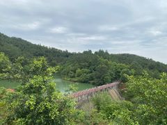 -广州白江湖森林公园