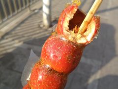 -和禄德冰糖葫芦