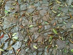 -雨花胜境