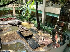 -麒麟中餐厅·经典粤菜·地道菜式老字号(广州长隆酒店)