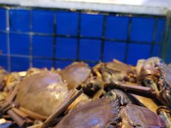 -金苑海鲜酒家(来魅力店)