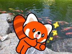-青岛鑫江温德姆酒店