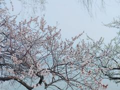 -颐和园
