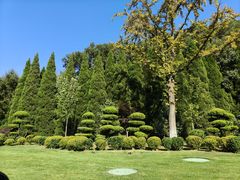 -棒棰岛宾馆景区