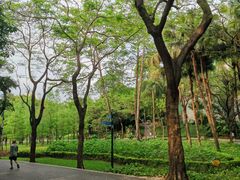 -晓港公园