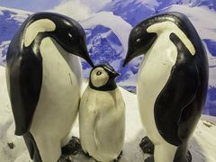 -上海海洋水族馆