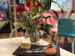 柿柿如薏-随心小姐