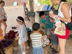 -大象粑粑造纸公园