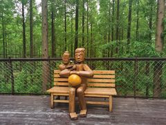 -黄海国家森林公园