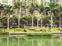 -江头公园