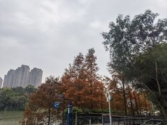 -金山公园
