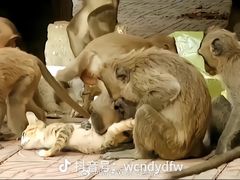-昆明动物园