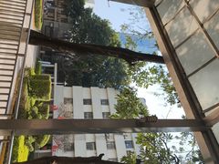 -厦门大学附属中山医院(本部)