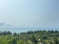 -海南清水湾莱佛士酒店