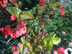 -小草屋轰趴馆别墅派对新场团建家庭聚会