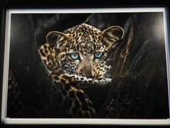 -罗红摄影艺术馆