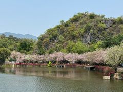 -星湖旅游景区七星岩
