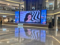 -红星美凯龙(上海沪南店)