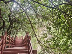 -广州白江湖森林公园