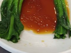 -东方御宴海鲜酒楼(棕泉酒店)