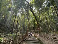 -杭州黄龙洞