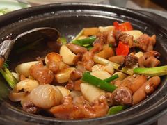 -大榕树下顺德菜(融创茂店)