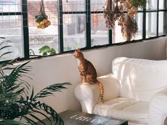 -NOTOOCAFE不二咖啡馆(岩前店)