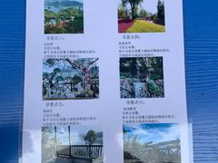 -广州市流溪河国家森林公园