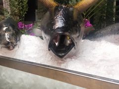 -昆明洲际酒店