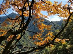 -西安祥峪森林公园