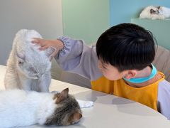 -怪兽屋·羊驼·猫咖·狗咖(俊华广场店)