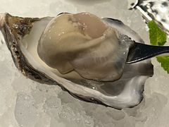 -Oyster Talks 四度蚝法餐厅