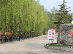 -鲁山国家森林公园