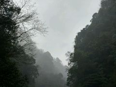 -青城后山
